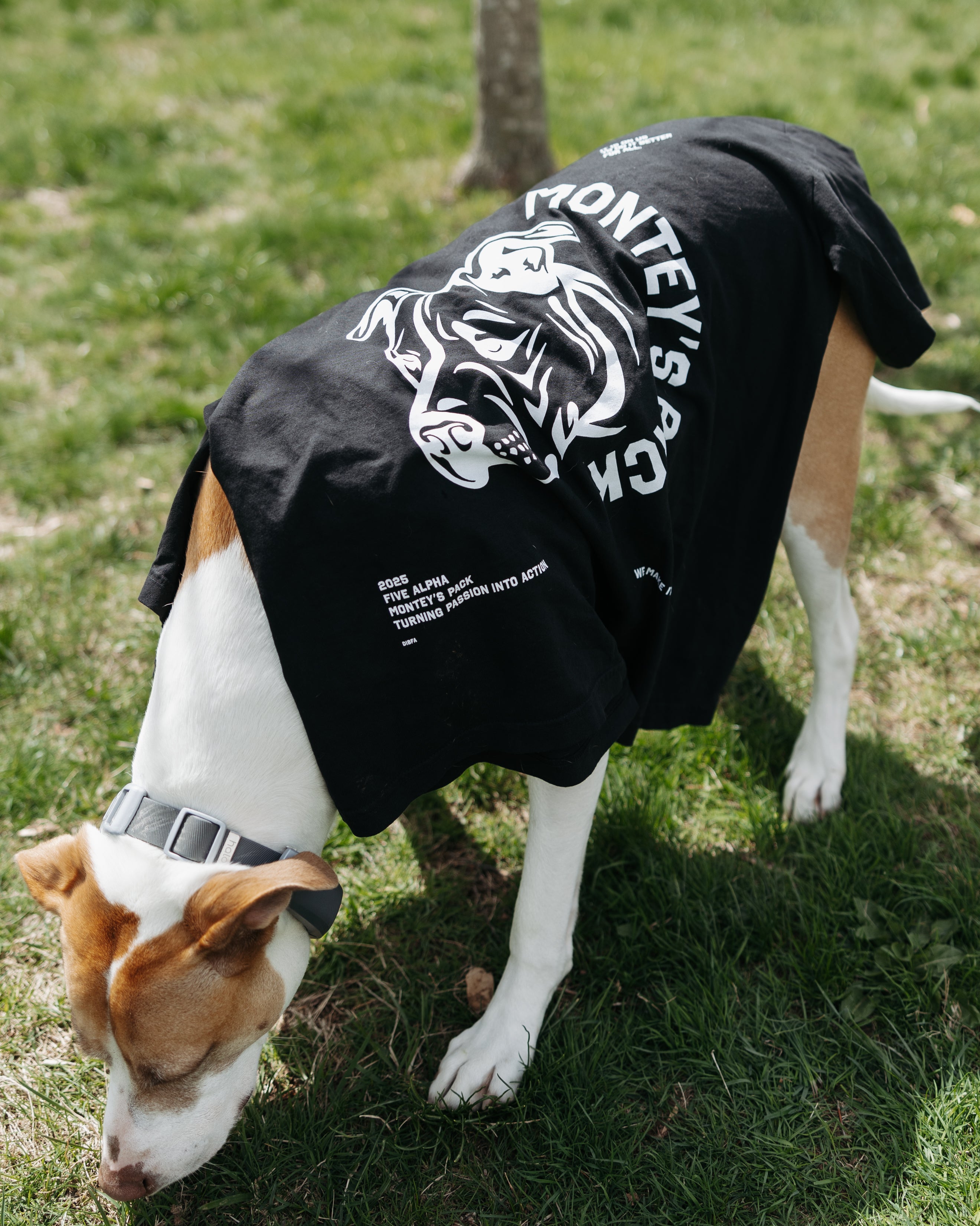 MONTEY'S PACK COMMUNITY SHIRT (Fundraiser)