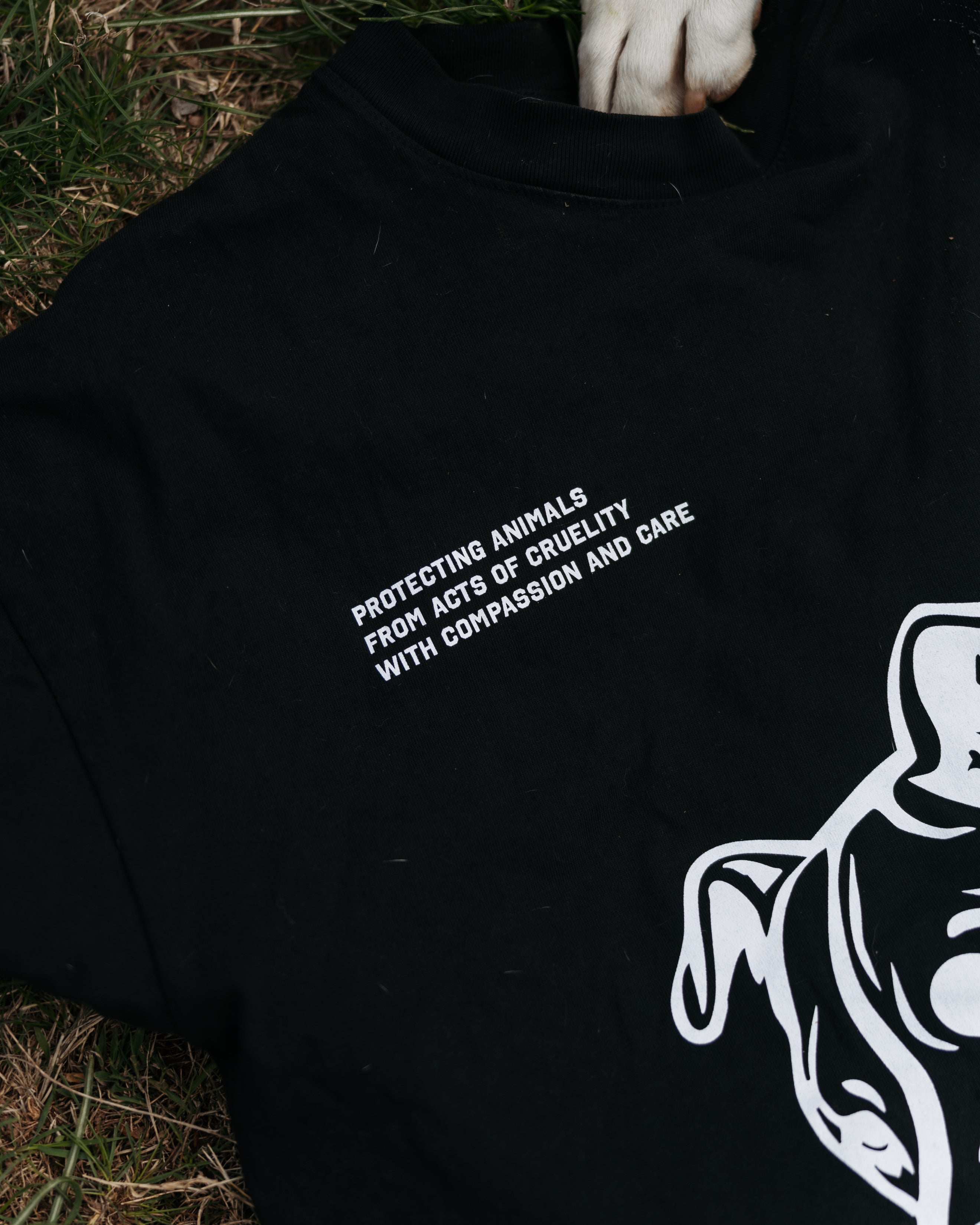 MONTEY'S PACK COMMUNITY SHIRT (Fundraiser)